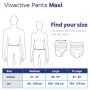 Vivactive Pants Maxi Large (2300ml) 10 Pack